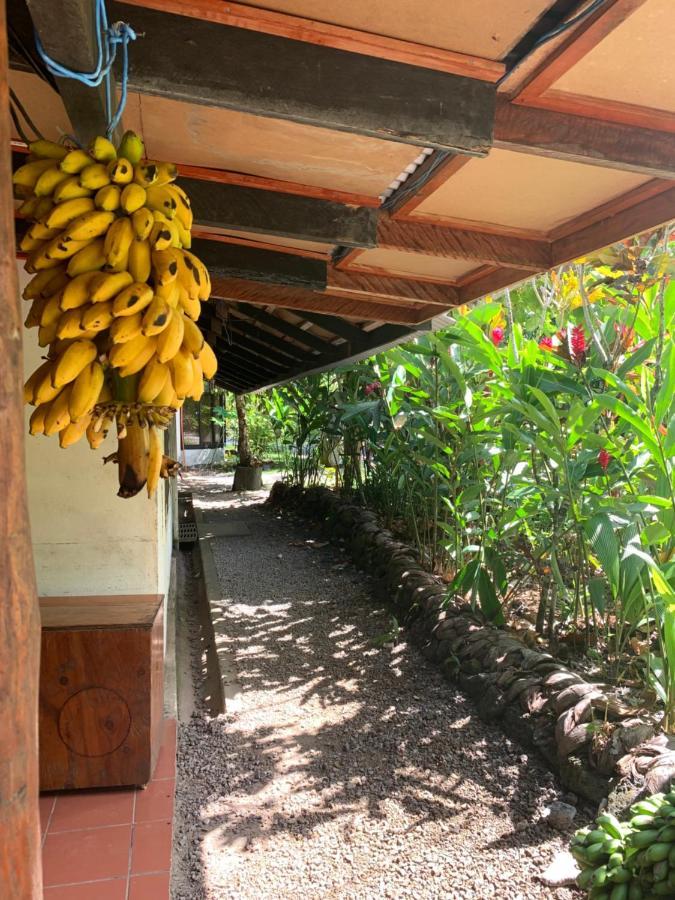 Lusia'S Lagoon Chalets Salelologa Bagian luar foto